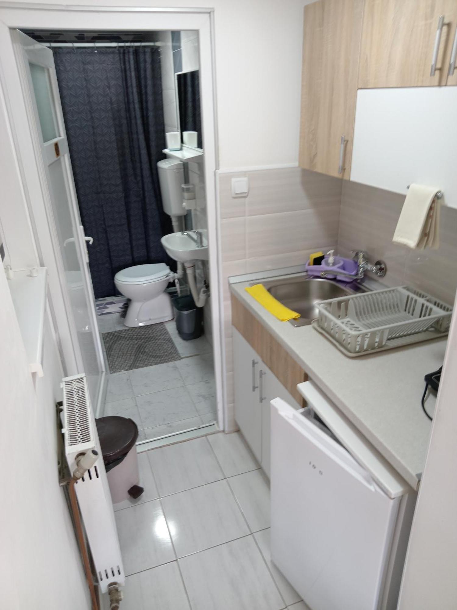Apartman “Pod Kraljevicom” Zajecar Bagian luar foto